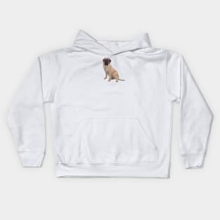 A Fawn Colored English Bull Mastiff - just the dog Kids Hoodie